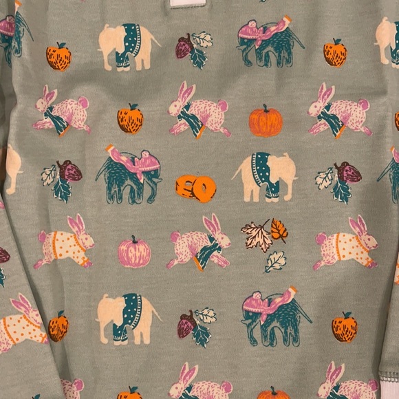 Roller Rabbit Pumpkin Spice Pajamas - Picture 4 of 6